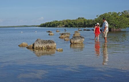 wading